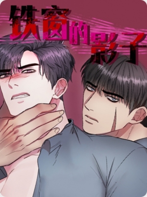 铁窗的影子(完结)