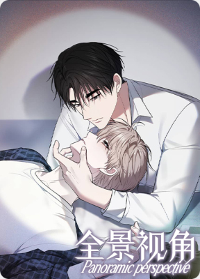 全景视角