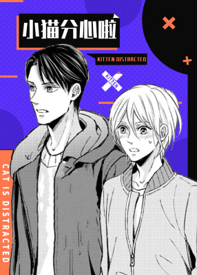 小猫分心啦